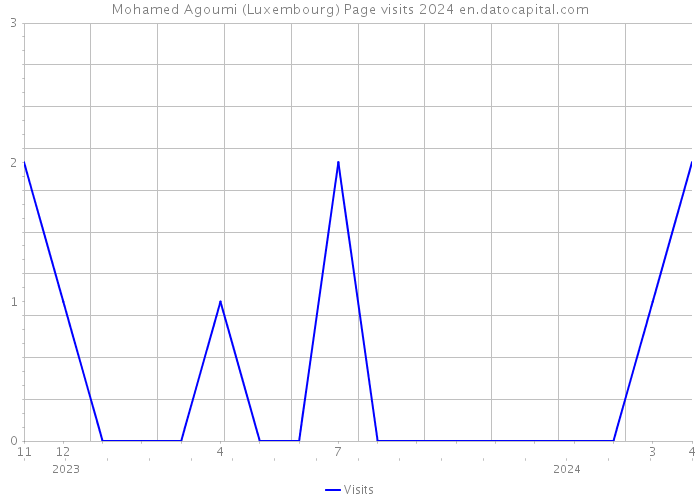 Mohamed Agoumi (Luxembourg) Page visits 2024 