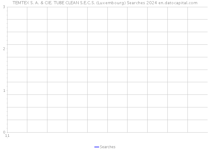 TEMTEX S. A. & CIE. TUBE CLEAN S.E.C.S. (Luxembourg) Searches 2024 