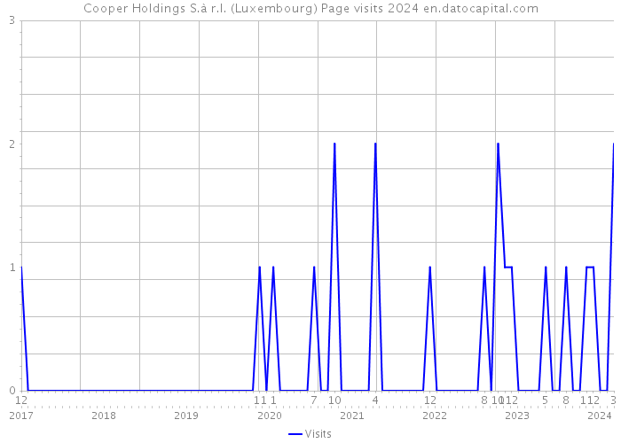Cooper Holdings S.à r.l. (Luxembourg) Page visits 2024 