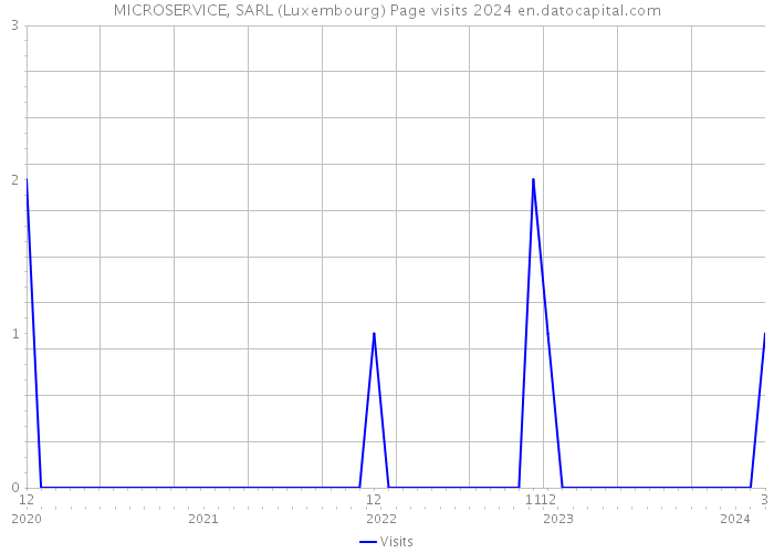 MICROSERVICE, SARL (Luxembourg) Page visits 2024 