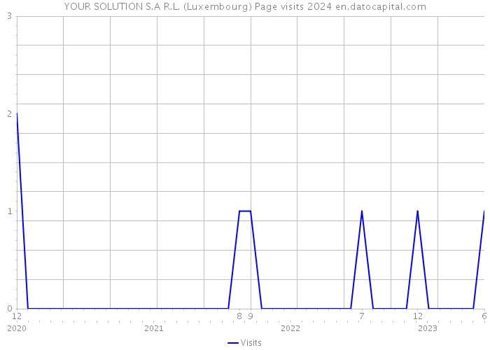 YOUR SOLUTION S.A R.L. (Luxembourg) Page visits 2024 
