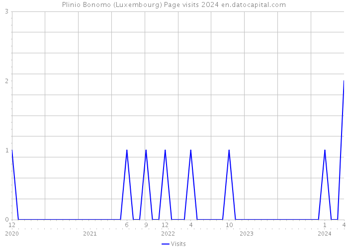 Plinio Bonomo (Luxembourg) Page visits 2024 