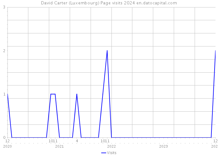 David Carter (Luxembourg) Page visits 2024 