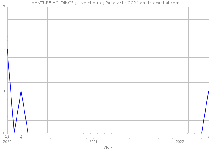 AVATURE HOLDINGS (Luxembourg) Page visits 2024 