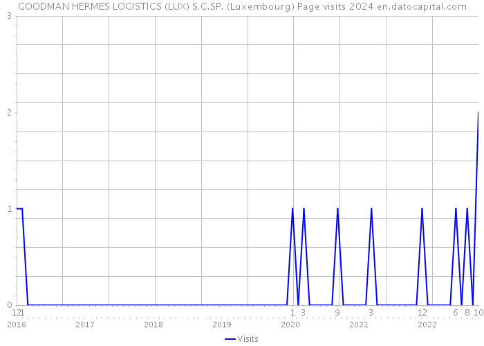 GOODMAN HERMES LOGISTICS (LUX) S.C.SP. (Luxembourg) Page visits 2024 