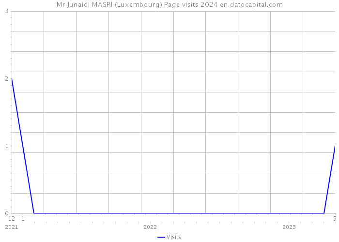 Mr Junaidi MASRI (Luxembourg) Page visits 2024 