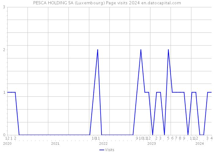 PESCA HOLDING SA (Luxembourg) Page visits 2024 
