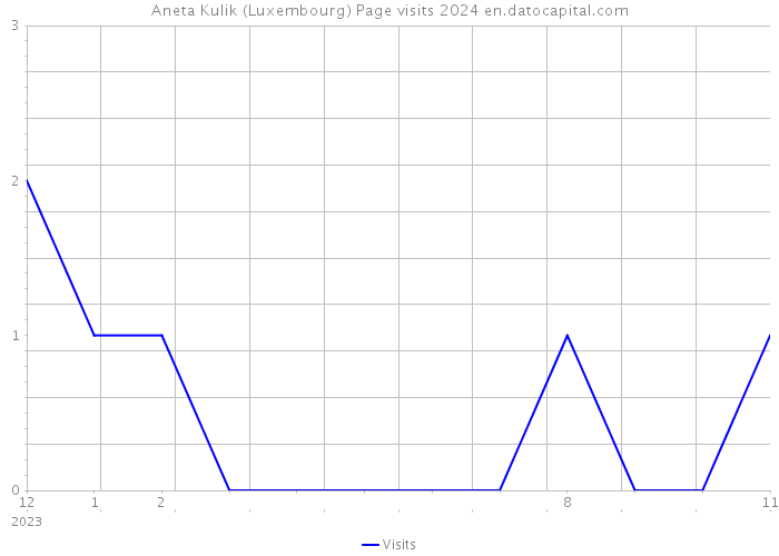 Aneta Kulik (Luxembourg) Page visits 2024 