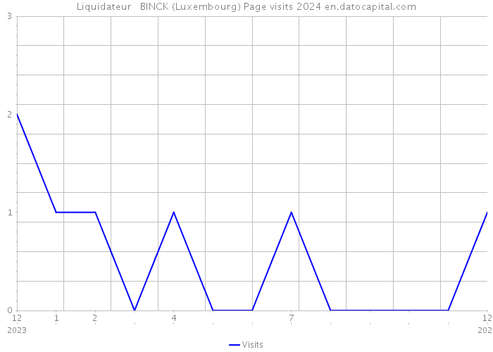 Liquidateur BINCK (Luxembourg) Page visits 2024 