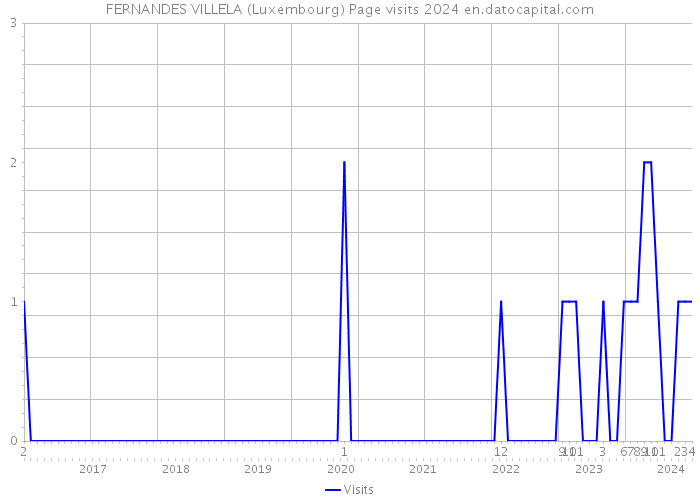 FERNANDES VILLELA (Luxembourg) Page visits 2024 