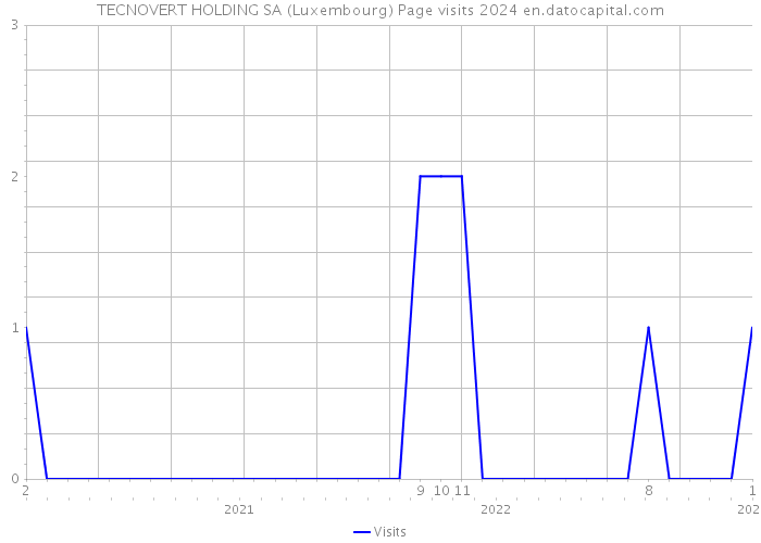 TECNOVERT HOLDING SA (Luxembourg) Page visits 2024 