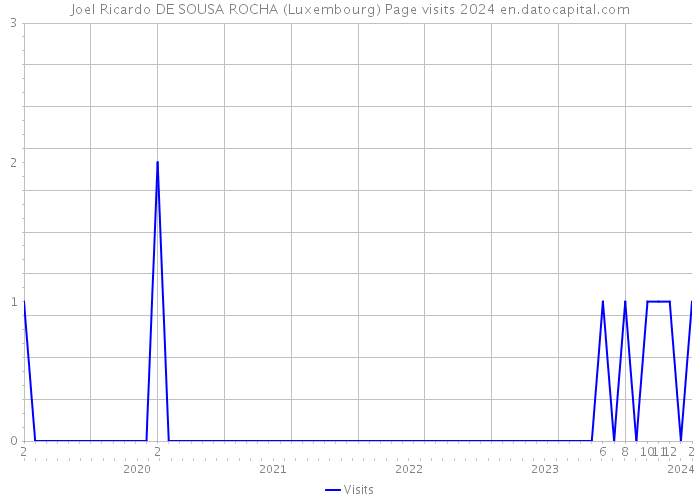 Joel Ricardo DE SOUSA ROCHA (Luxembourg) Page visits 2024 