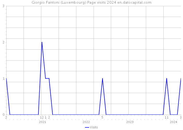 Giorgio Fantoni (Luxembourg) Page visits 2024 