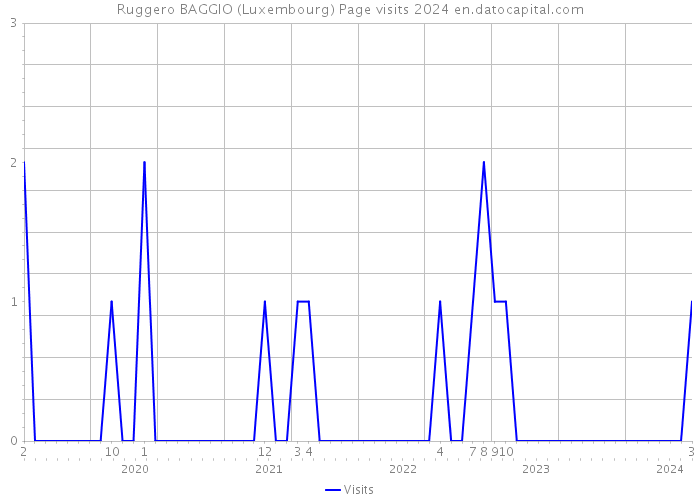 Ruggero BAGGIO (Luxembourg) Page visits 2024 