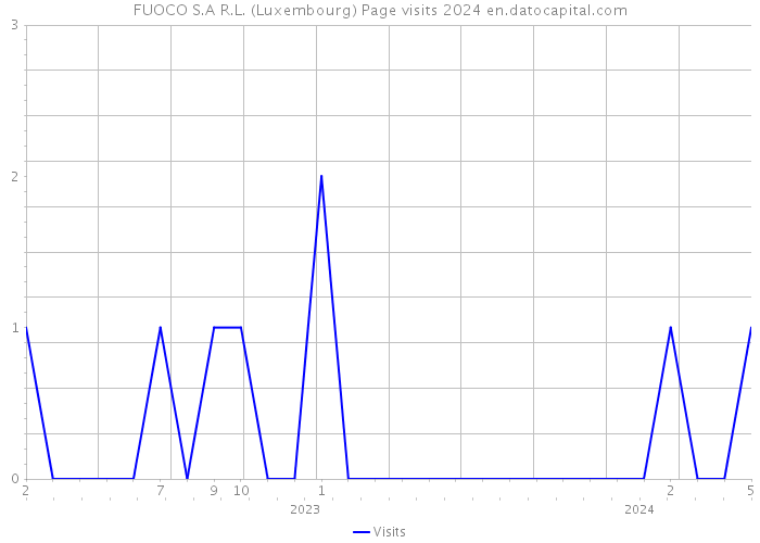 FUOCO S.A R.L. (Luxembourg) Page visits 2024 