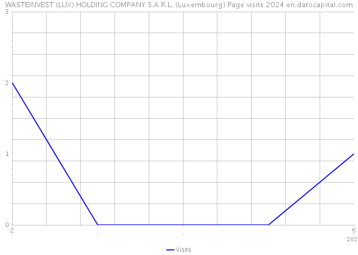 WASTEINVEST (LUX) HOLDING COMPANY S.A R.L. (Luxembourg) Page visits 2024 