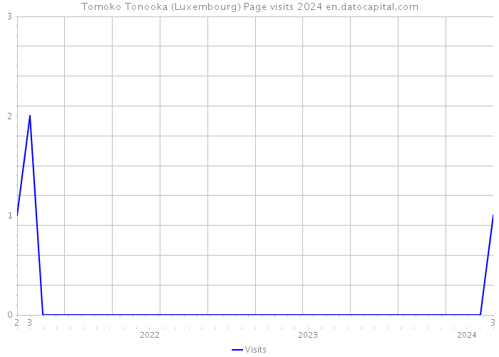 Tomoko Tonooka (Luxembourg) Page visits 2024 