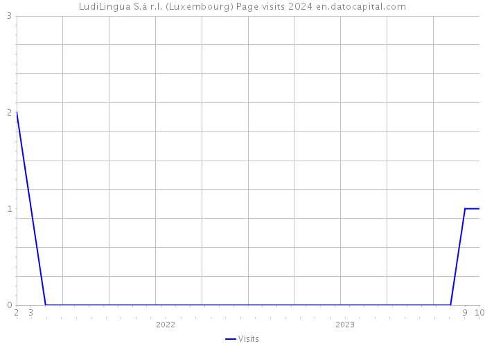 LudiLingua S.à r.l. (Luxembourg) Page visits 2024 