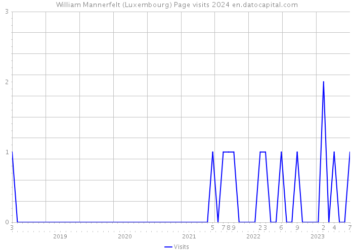 William Mannerfelt (Luxembourg) Page visits 2024 