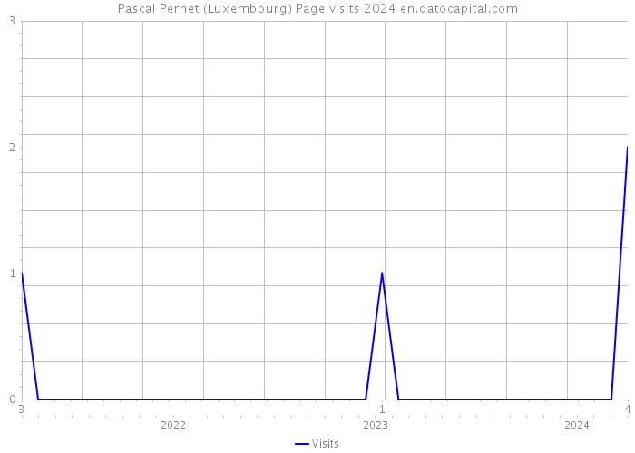 Pascal Pernet (Luxembourg) Page visits 2024 