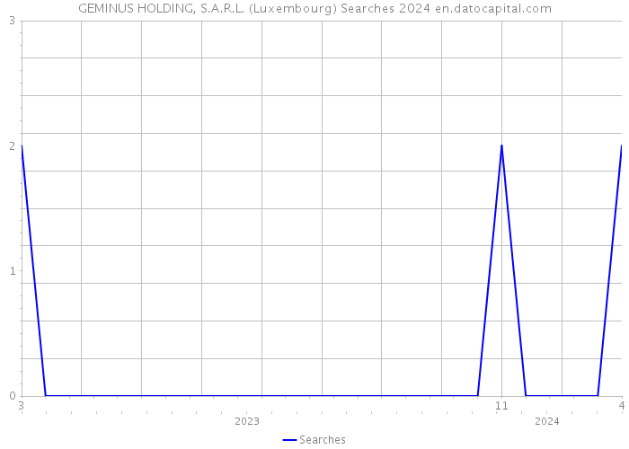 GEMINUS HOLDING, S.A.R.L. (Luxembourg) Searches 2024 
