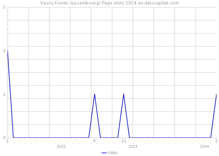 Kaoru Kondo (Luxembourg) Page visits 2024 