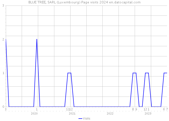 BLUE TREE, SARL (Luxembourg) Page visits 2024 