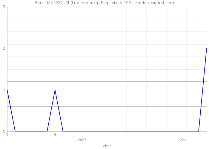 Faïza MANSOURI (Luxembourg) Page visits 2024 