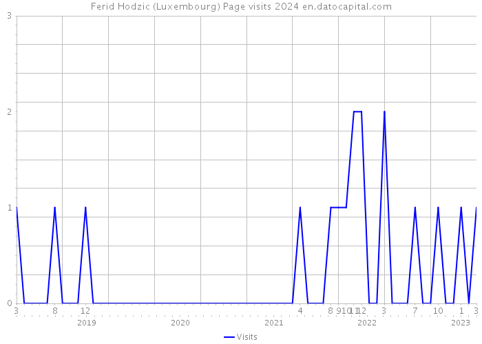 Ferid Hodzic (Luxembourg) Page visits 2024 