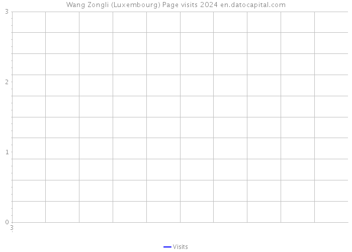 Wang Zongli (Luxembourg) Page visits 2024 
