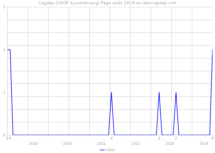 Cagdas CAKIR (Luxembourg) Page visits 2024 