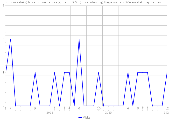 Succursale(s) luxembourgeoise(s) de E.G.M. (Luxembourg) Page visits 2024 