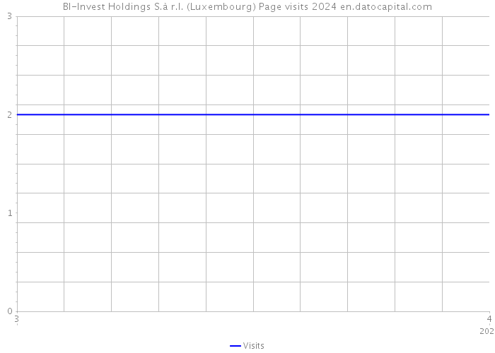 BI-Invest Holdings S.à r.l. (Luxembourg) Page visits 2024 