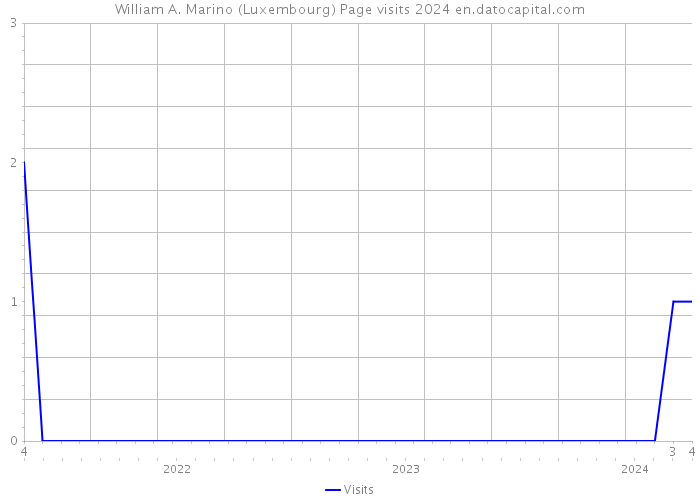 William A. Marino (Luxembourg) Page visits 2024 