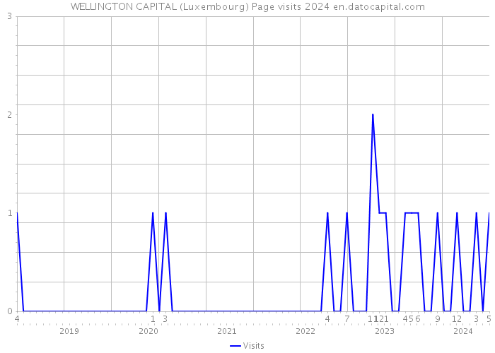 WELLINGTON CAPITAL (Luxembourg) Page visits 2024 