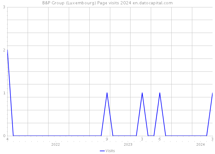 B&P Group (Luxembourg) Page visits 2024 