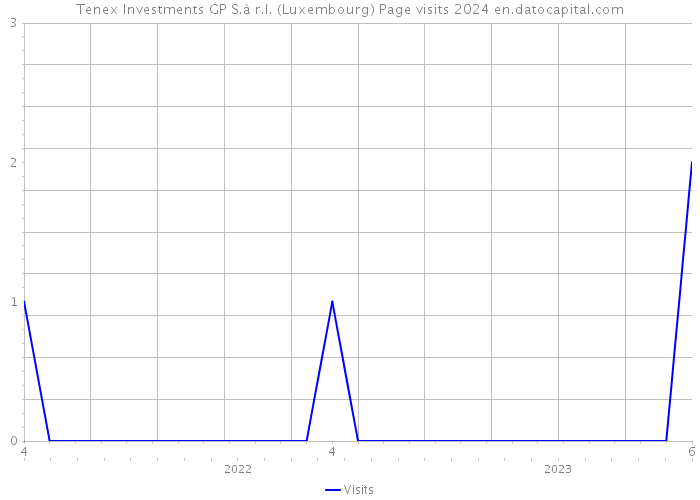 Tenex Investments GP S.à r.l. (Luxembourg) Page visits 2024 