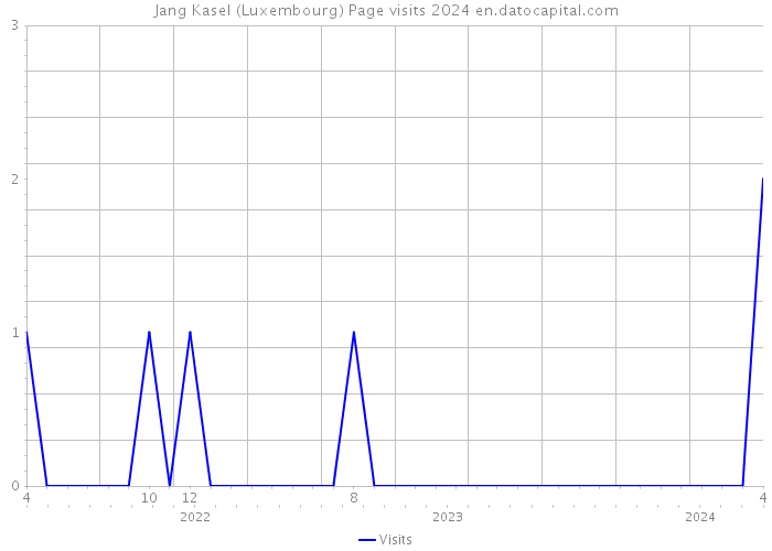 Jang Kasel (Luxembourg) Page visits 2024 