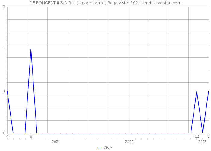DE BONGERT II S.A R.L. (Luxembourg) Page visits 2024 
