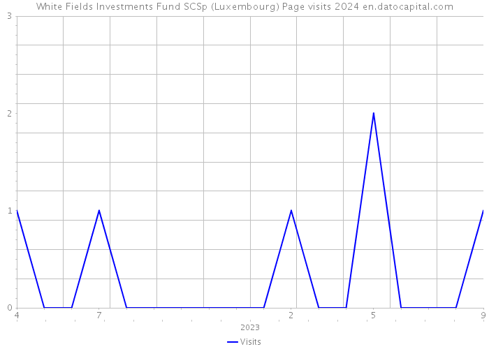 White Fields Investments Fund SCSp (Luxembourg) Page visits 2024 