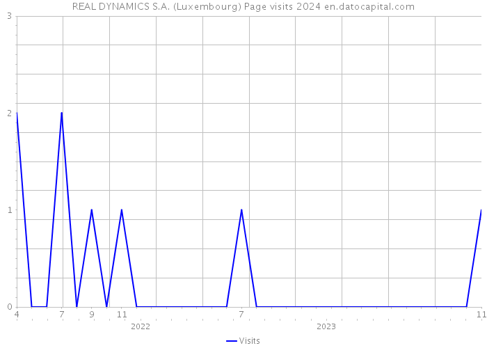 REAL DYNAMICS S.A. (Luxembourg) Page visits 2024 