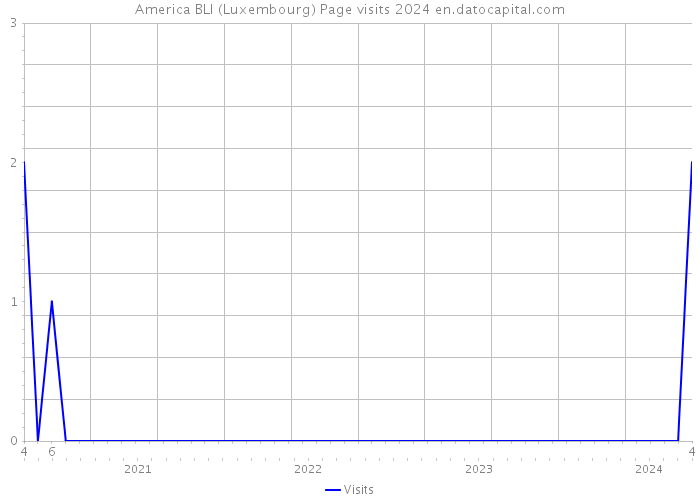 America BLI (Luxembourg) Page visits 2024 