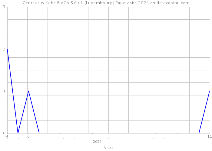 Centaurus Kobe BidCo S.à r.l. (Luxembourg) Page visits 2024 