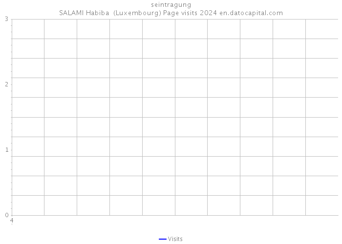 seintragung SALAMI Habiba (Luxembourg) Page visits 2024 