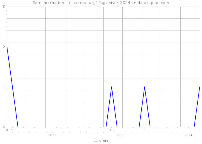 Sam International (Luxembourg) Page visits 2024 