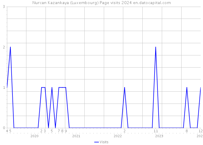Nurcan Kazankaya (Luxembourg) Page visits 2024 