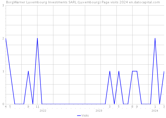 BorgWarner Luxembourg Investments SARL (Luxembourg) Page visits 2024 