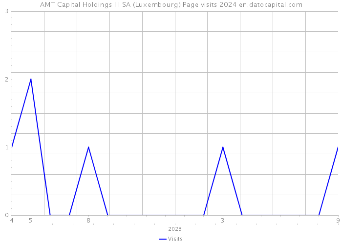 AMT Capital Holdings III SA (Luxembourg) Page visits 2024 