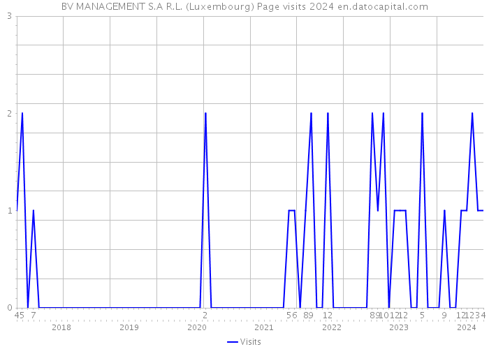 BV MANAGEMENT S.A R.L. (Luxembourg) Page visits 2024 