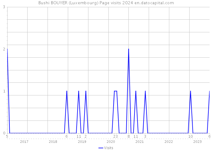Bushi BOUYER (Luxembourg) Page visits 2024 